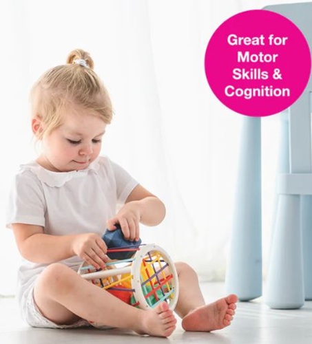Sensory Push & Roll